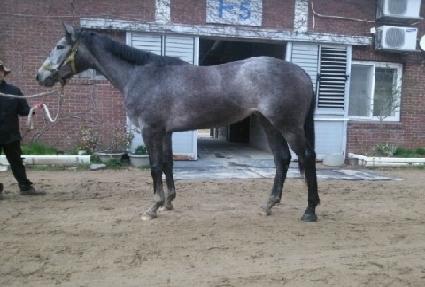 ���ǿ��� ����