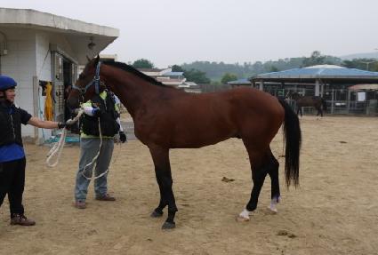 �������� ����