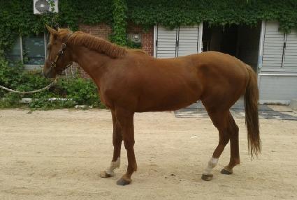 ����Ÿ ����