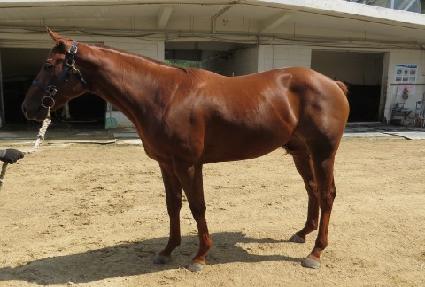 ��ǳ���� ����