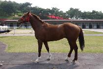 ���̷� (K LUCK) ����