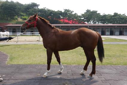 ���̷� ����