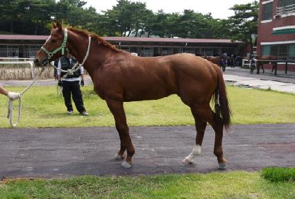 ���ǹٴ� ����