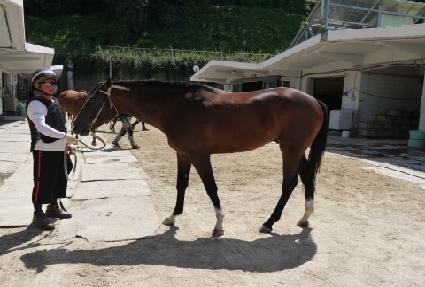 �������� ����