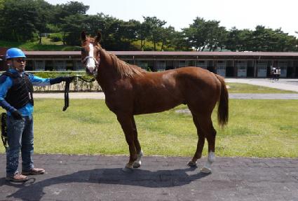 ����ī ����