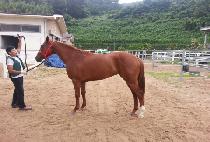 ���̰� (EIGER) ����