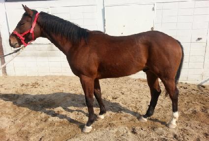 �����ѹ� ����