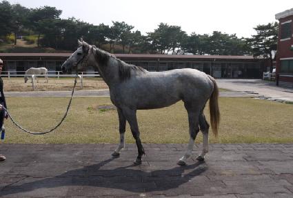 ī�������� ����