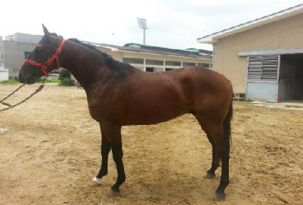 �׸��콺 ����