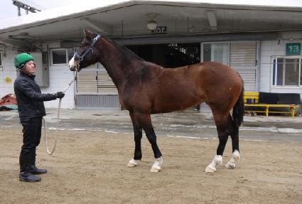 Ư���� ����