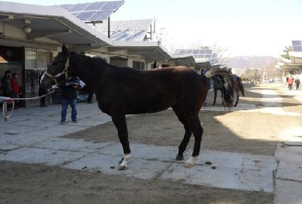 �����巡�� ����