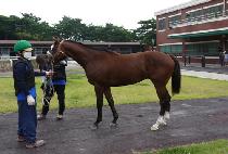 ��ݰ� (DAEBANGYEOK) ����