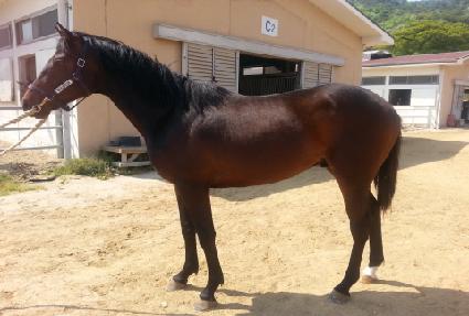 ȭ�����Լ� ����