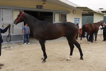 ��ȣ�̶�Ŭ ����