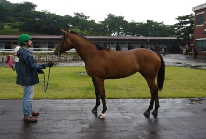 �¸��ǻ�� ����