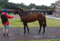 ���̷̹� (AMY LUCK) ����