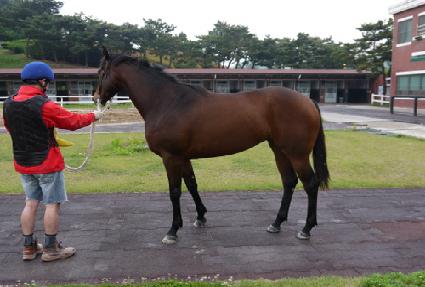 ���̷̹� ����