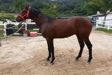 �Ŀ�Ǯ���� ����