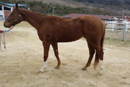 �帲��Ÿ ����