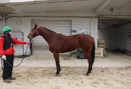 ������ ����