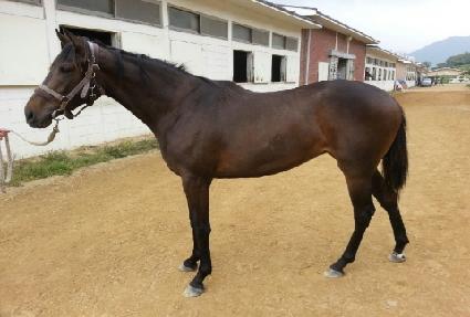 �������� ����