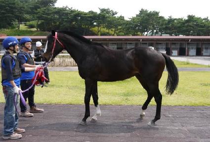 �񼼸��� ����