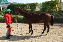 �뼼���� (DAESEJIJON) ����