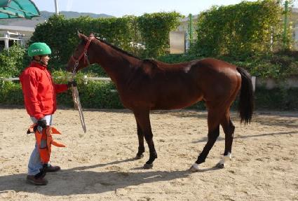 �뼼���� ����