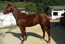 ��½���Ʈ (USEUNG SPURT) ����