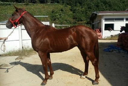 ��½���Ʈ ����