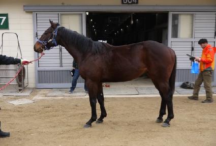 �ֻ�ź�� ����