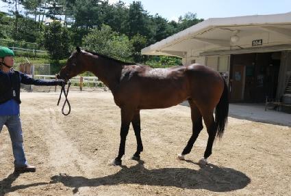 ��ũ ����