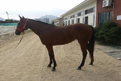 ��ȣ���屺 ����