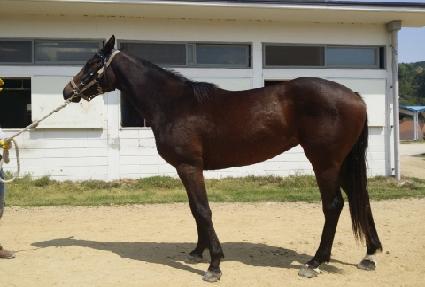 �Ϻ����� ����