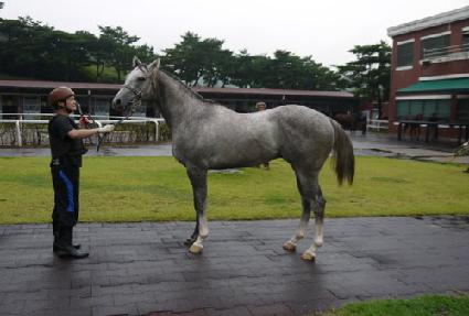 ���ǵ����� ����