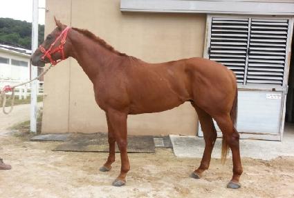 �Ҵ� ����