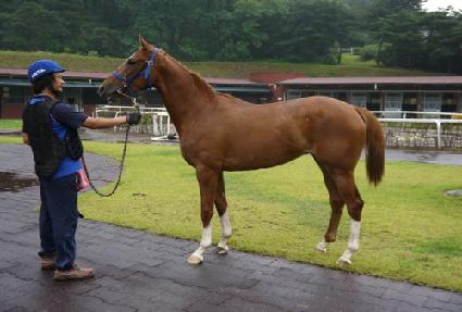 ����ƮŸ�� ����