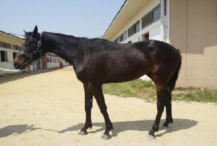 �������� ����