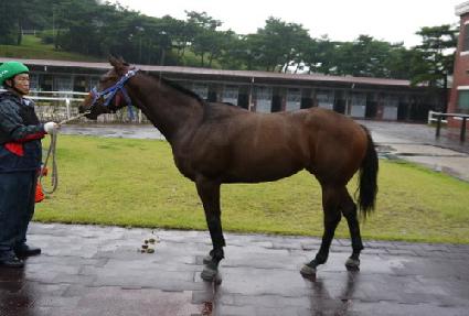 ���� ����