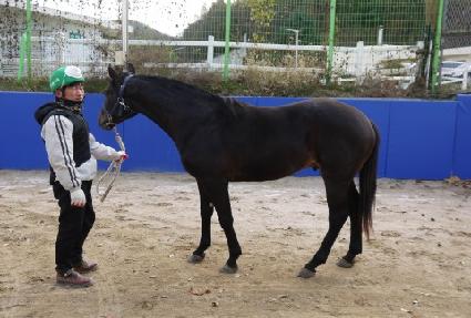 ���ָ� ����