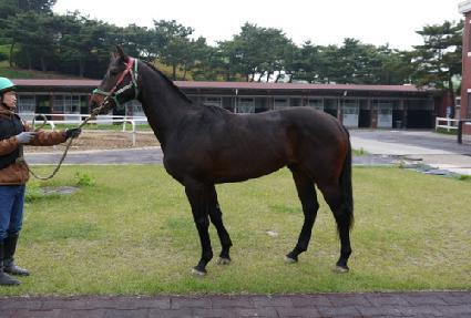 ����Ʈ�̱� ����