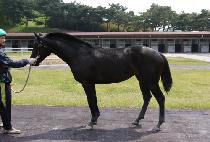 �������� (GOSOKCHUJIN) ����