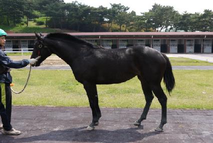 �������� ����