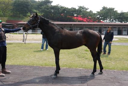 �糪è�� ����