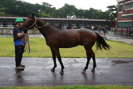 ��ŧ���� ����