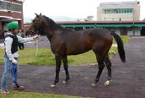 �����Ŀ� (JISANG POWER) ����