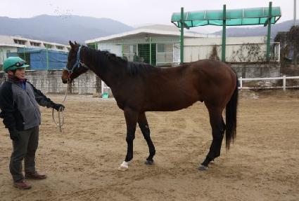 �ູ�ѵ��� ����