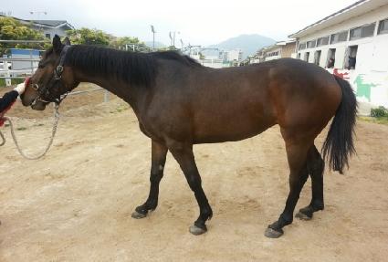 ���̺񸮾� ����