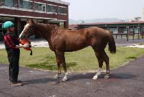 ������Ű (DOUBLE LUCKY) ����