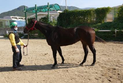 ������ȣ ����